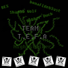 Team banner.png