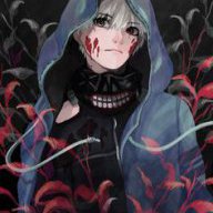 ShadowKing213