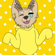 Kuitsu