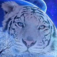 Starfalll