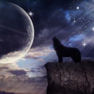 adventurerwolf