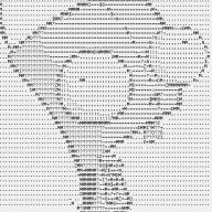 Dumknight