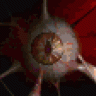fleshcage
