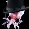 Hidden Squid