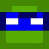 turtle_guy