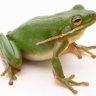 Mrgreenman23