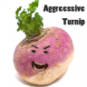 AggressiveTurnip
