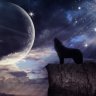adventurerwolf