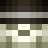 DrDee195