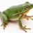 Mrgreenman23