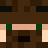 sam_gitar