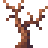 ColdFoxFire
